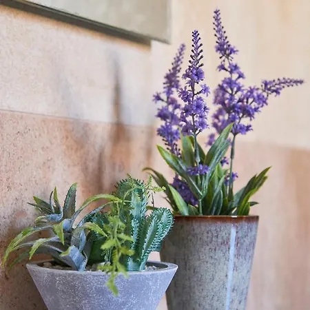 Renovated And Spacious Duplex With Patio, By Timecooler Apartmán Lisboa