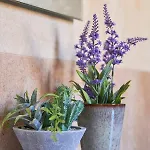 Renovated And Spacious Duplex With Patio, By Timecooler Apartamento Lisboa